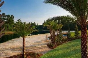 243 Salty Fin Dr, Hardeeville, SC 29927 - Photo 50