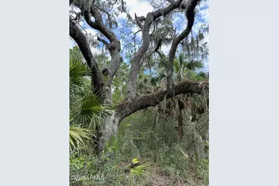 196 Polowana Road, Saint Helena Island, SC 29920 - Photo 16
