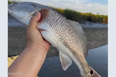 15 Barnaby Bluff, Seabrook, SC 29940 - Photo 44