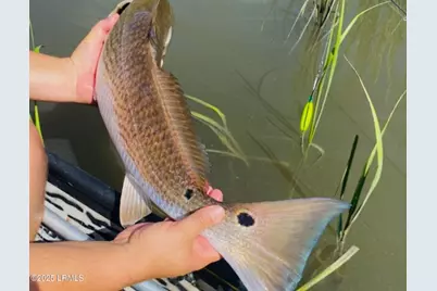 120 Bull Point Drive, Seabrook, SC 29940 - Photo 42