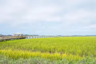 1008C 12th St, Port Royal, SC 29935 - Photo 64