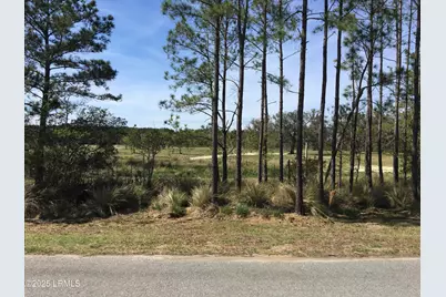 1328 Hunters Loop S, Hardeeville, SC 29927 - Photo 1