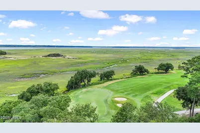 1731 Longfield Drive, Saint Helena Island, SC 29920 - Photo 58