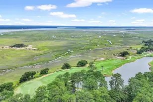 1731 Longfield Dr, Saint Helena Island, SC 29920 - Photo 66
