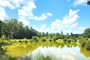 162 Chicora Ln, Yemassee, SC 29945 - Photo 42