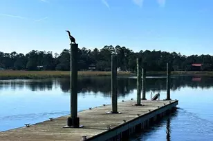 162 Chicora Ln, Yemassee, SC 29945 - Photo 48