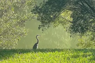 192 Chicora Ln, Yemassee, SC 29945 - Photo 48