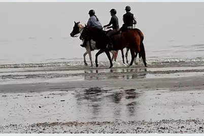 2017 Lafayette Street, Beaufort, SC 29902 - Photo 34