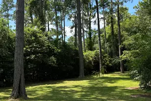 105 Harriett St, Hampton, SC 29924 - Photo 38