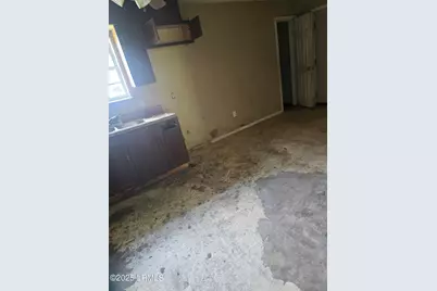 110 Nix Street E, Hampton, SC 29924 - Photo 4