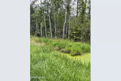 69 Jacob White Road, Yemassee, SC 29945 - Photo 6