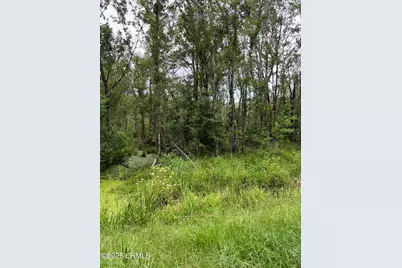 69 Jacob White Road, Yemassee, SC 29945 - Photo 4