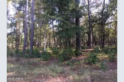 Tbd Goethe Hill Road, Beaufort, SC 29906 - Photo 10