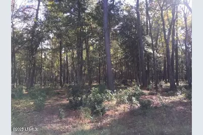 Tbd Goethe Hill Road, Beaufort, SC 29906 - Photo 8
