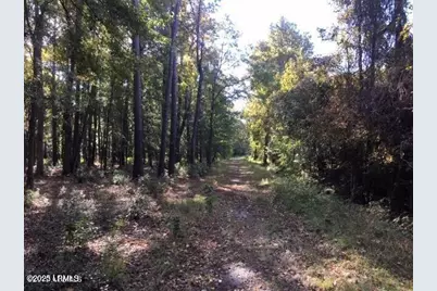 Tbd Goethe Hill Road, Beaufort, SC 29906 - Photo 2