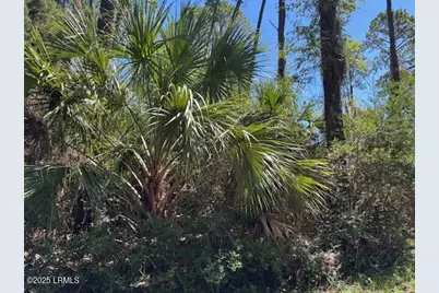 21 Lakeview Lane, Harbor Island, SC 29920 - Photo 4