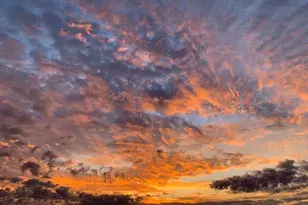 172 Beach Club Villa Dr, Fripp Island, SC 29920 - Photo 14