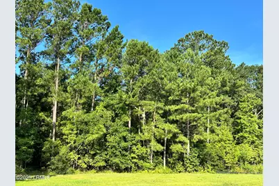 Lot 5B N Okatie Highway, Ridgeland, SC 29936 - Photo 8