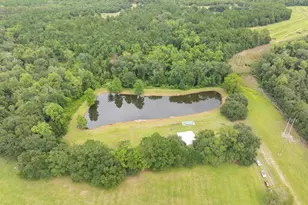 10692 Grays Hwy, Ridgeland, SC 29936 - Photo 36