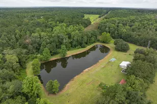 10692 Grays Hwy, Ridgeland, SC 29936 - Photo 44