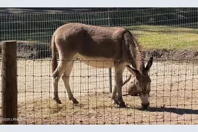 10 Big Ash Lane, Beaufort, SC 29907 - Photo 30
