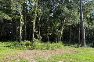 23 Joe Frazier Rd, Burton, SC 29906 - Photo 1