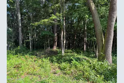 23 Joe Frazier Road, Burton, SC 29906 - Photo 2