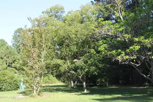 3222 Charleston Hwy, Varnville, SC 29944 - Photo 26