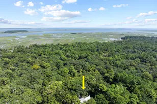 303 Spring Island Dr, Okatie, SC 29909 - Photo 96