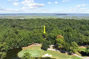 303 Spring Island Dr, Okatie, SC 29909 - Photo 98