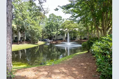 112 Union Cemetery Road #123, Hilton Head Island, SC 29926 - Photo 38