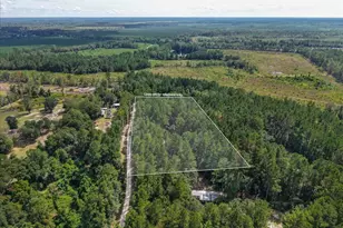 168 Walker Rd, Early Branch, SC 29916 - Photo 34