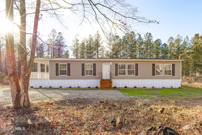 3327 Cohen Road, Pineland, SC 29934 - Photo 1