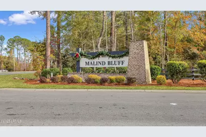 844 Danner Drive, Okatie, SC 29909 - Photo 94