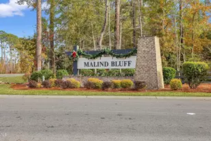 844 Danner Dr, Okatie, SC 29909 - Photo 94