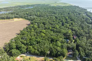 Tbd Estrolita St, Saint Helena Island, SC 29920 - Photo 1