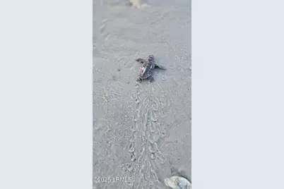 28 W Cedar Road, Saint Helena Island, SC 29920 - Photo 50