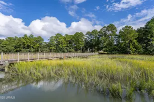 2956 Needlegrass Dr, Beaufort, SC 29902 - Photo 62