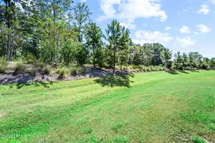 1625 Dreamscape Dr, Bluffton, SC 29909 - Photo 28
