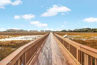 663 William Hilton Parkway #4205, Hilton Head Island, SC 29928 - Photo 48