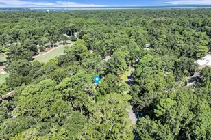 11 Lighthouse Rd, Hilton Head Island, SC 29928 - Photo 56