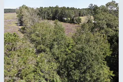 Tbd Old Buckhead Road, Bamberg, SC 29003 - Photo 6