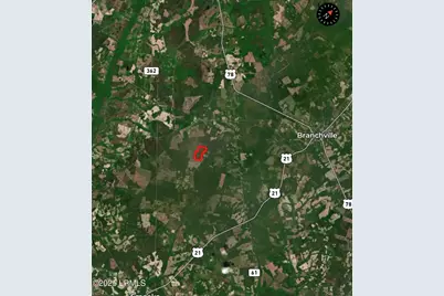 Tbd Old Buckhead Road, Bamberg, SC 29003 - Photo 2