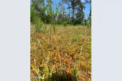 Tbd Old Buckhead Road, Bamberg, SC 29003 - Photo 20