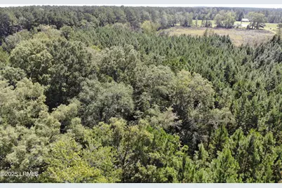 Tbd Old Buckhead Road, Bamberg, SC 29003 - Photo 4