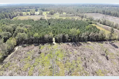 Tbd Old Buckhead Road, Bamberg, SC 29003 - Photo 8