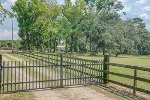 831 Jennys Rd, Fairfax, SC 29827 - Photo 12