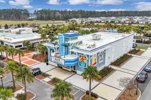 152 Caribbean Soul Ave, Hardeeville, SC 29927 - Photo 38