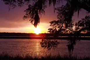 660 Distant Is Dr, Beaufort, SC 29907 - Photo 68