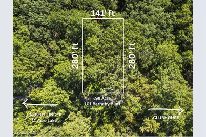 101 Barnaby Bluff, Seabrook, SC 29940 - Photo 4